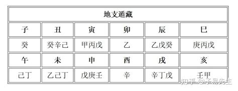 支藏天干|十二地支藏干正解，地支藏干口诀详解